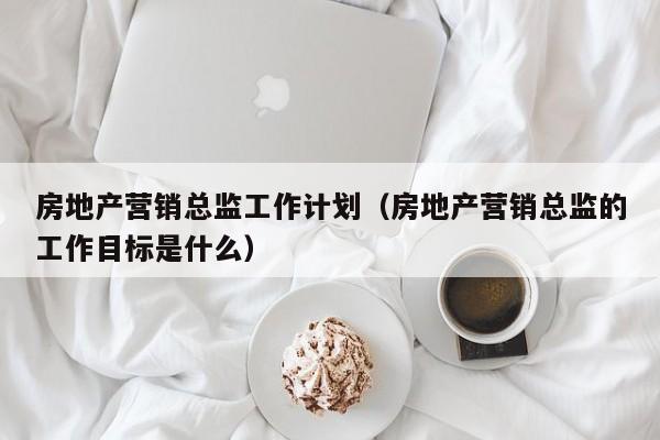 房地产营销总监工作计划（房地产营销总监的工作目标是什么）