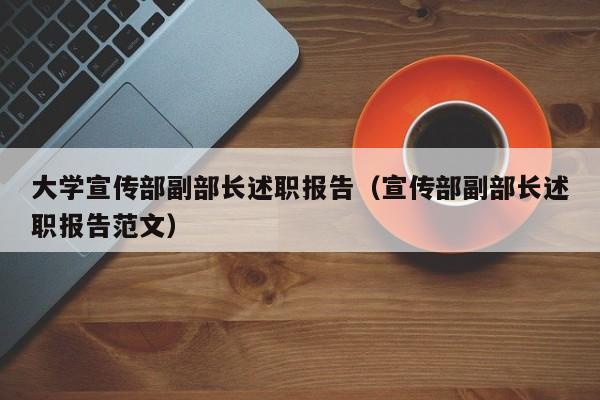 大学宣传部副部长述职报告（宣传部副部长述职报告范文）