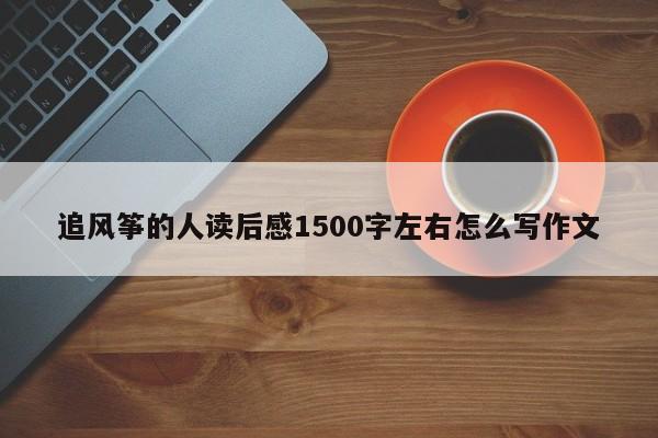 追风筝的人读后感1500字左右怎么写作文