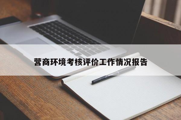 营商环境考核评价工作情况报告