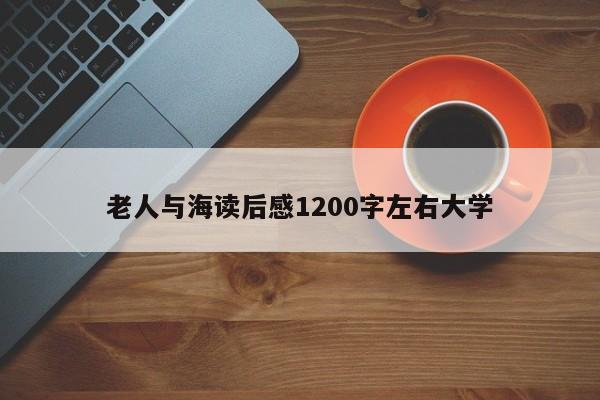 老人与海读后感1200字左右大学